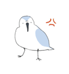 ゆるいミユビシギ（個別スタンプ：24）