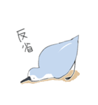 ゆるいミユビシギ（個別スタンプ：25）