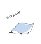 ゆるいミユビシギ（個別スタンプ：26）