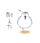ゆるいミユビシギ（個別スタンプ：28）
