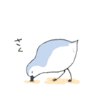 ゆるいミユビシギ（個別スタンプ：32）