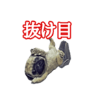 【革命児】名言集（個別スタンプ：1）