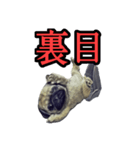 【革命児】名言集（個別スタンプ：2）
