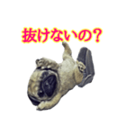 【革命児】名言集（個別スタンプ：4）
