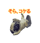 【革命児】名言集（個別スタンプ：5）
