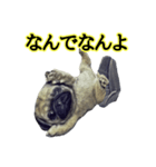 【革命児】名言集（個別スタンプ：6）