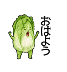 個性派ぞろい！ベジタブル劇場（個別スタンプ：1）