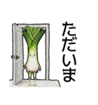 個性派ぞろい！ベジタブル劇場（個別スタンプ：11）