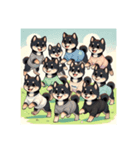 黒豆柴の家族（個別スタンプ：5）