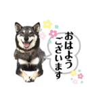 黒柴チカちゃんの敬語スタンプ（個別スタンプ：18）