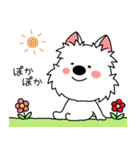 ゆるいウエスティ(春)（個別スタンプ：3）