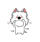 ゆるいウエスティ(春)（個別スタンプ：8）