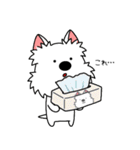 ゆるいウエスティ(春)（個別スタンプ：10）