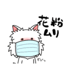 ゆるいウエスティ(春)（個別スタンプ：12）