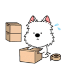 ゆるいウエスティ(春)（個別スタンプ：14）