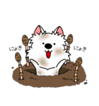 ゆるいウエスティ(春)（個別スタンプ：18）