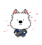 ゆるいウエスティ(春)（個別スタンプ：29）