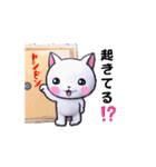 動く白猫たんの毎日3（個別スタンプ：5）