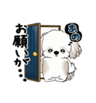 動くシーズー犬 2025 「家族連絡など」5（個別スタンプ：8）