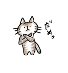 ねこさんのすたんぷその1（個別スタンプ：7）