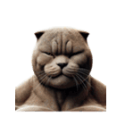 マッチョ猫の表情スタンプ（個別スタンプ：1）
