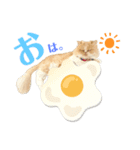 あたちはうに。時々、毒舌。（個別スタンプ：1）