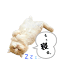 あたちはうに。時々、毒舌。（個別スタンプ：2）
