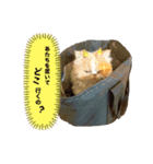 あたちはうに。時々、毒舌。（個別スタンプ：4）