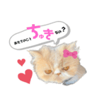 あたちはうに。時々、毒舌。（個別スタンプ：5）