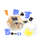 あたちはうに。時々、毒舌。（個別スタンプ：7）