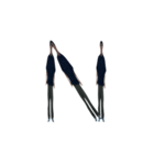 Nakata's Alphabet（個別スタンプ：14）