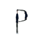 Nakata's Alphabet（個別スタンプ：16）