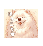 「もふもふサモエドのことば」（個別スタンプ：1）