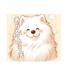 「もふもふサモエドのことば」（個別スタンプ：2）