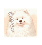 「もふもふサモエドのことば」（個別スタンプ：19）
