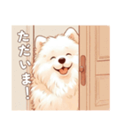 「もふもふサモエドのことば」（個別スタンプ：26）