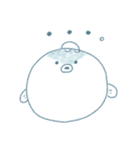 ぷっくぷくのふぐさん（個別スタンプ：3）
