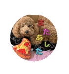 犬のチョコくんのスタンプ（個別スタンプ：8）