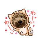 犬のチョコくんのスタンプ（個別スタンプ：9）