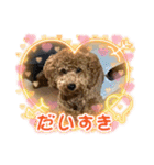 犬のチョコくんのスタンプ（個別スタンプ：11）