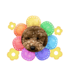犬のチョコくんのスタンプ（個別スタンプ：15）