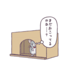 チンチラッ！（個別スタンプ：17）