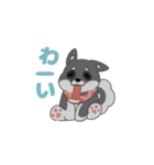 黒柴ちゃんん（個別スタンプ：2）
