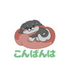 黒柴ちゃんん（個別スタンプ：4）