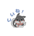 黒柴ちゃんん（個別スタンプ：6）