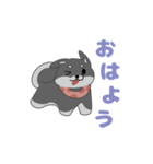黒柴ちゃんん（個別スタンプ：7）