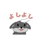 黒柴ちゃんん（個別スタンプ：12）