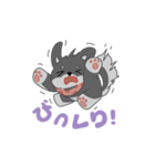 黒柴ちゃんん（個別スタンプ：15）