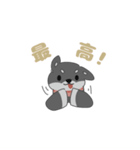 黒柴ちゃんん（個別スタンプ：16）