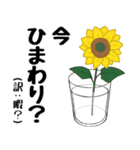 白湯宅語録2（個別スタンプ：16）